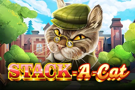 Stack A Cat